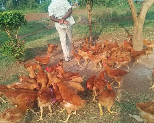 WhatsApp Image 2026-02-23 at 17.59.59